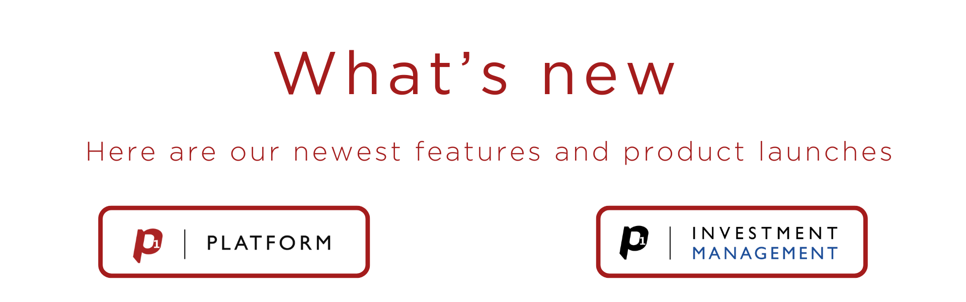 Product Update Email - WHATS NEW (1920 x 800 px) (1)